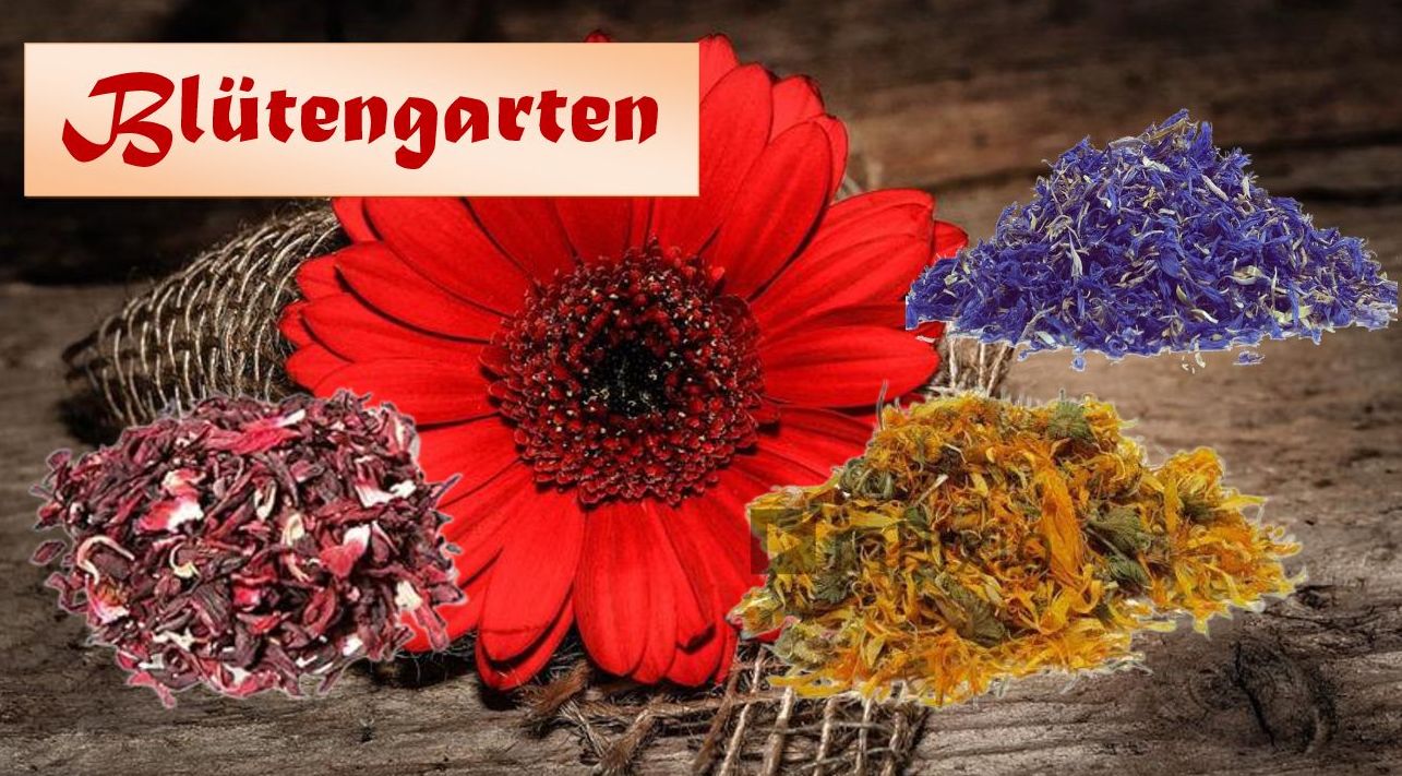 Blütengarten